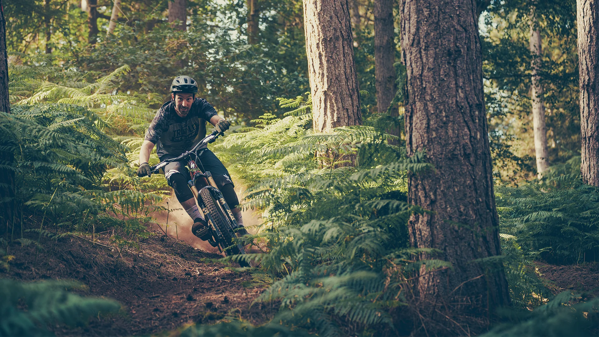 Conquer Every Trail with Brink